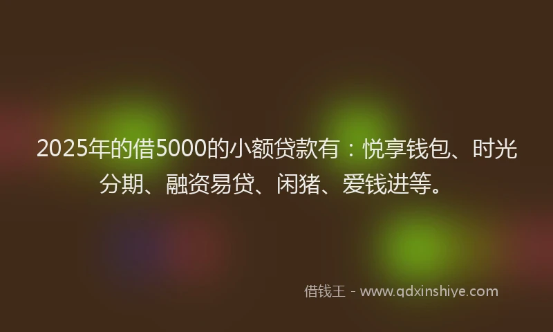 2025年的借5000的小额贷款有:悦享钱包、时光分期、融资易贷、闲猪、爱钱进等。