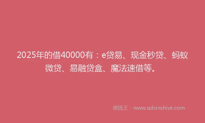 2025年的借40000有：e贷易、现金秒贷、蚂蚁微贷、易融贷盒、魔法速借等。