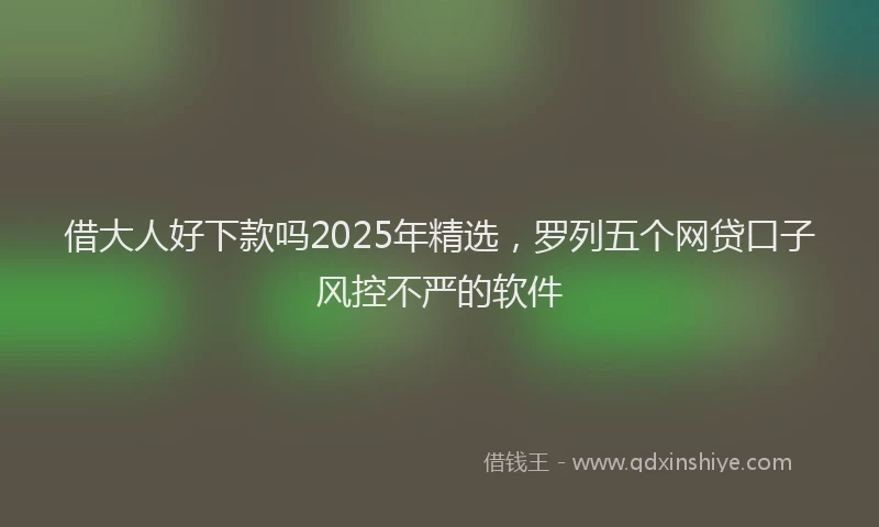 借大人好下款吗2025年精选，罗列五个网贷口子风控不严的软件