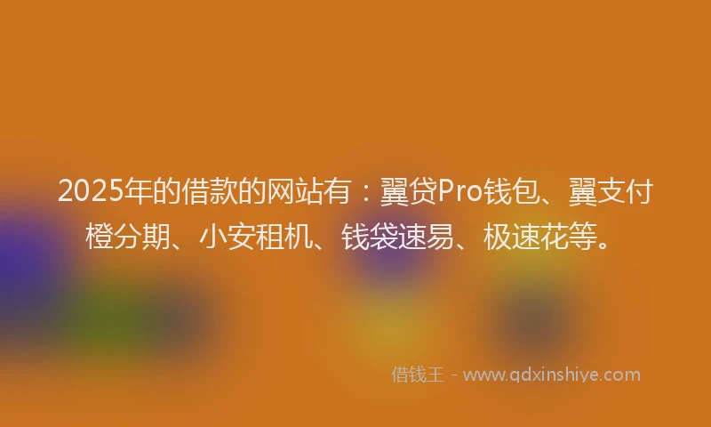 2025年的借款的网站有：翼贷Pro钱包、翼支付橙分期、小安租机、钱袋速易、极速花等。
