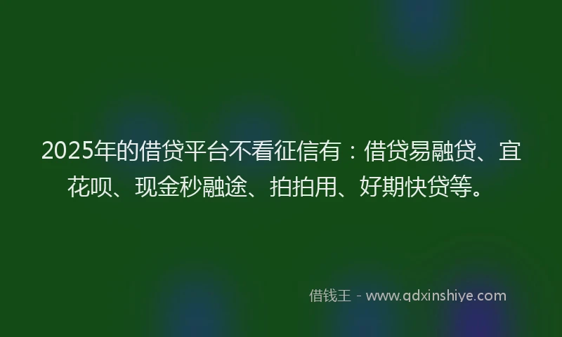 2025年的借贷平台不看征信有：借贷易融贷、宜花呗、现金秒融途、拍拍用、好期快贷等。