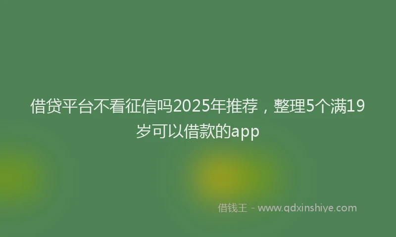 借贷平台不看征信吗2025年推荐，整理5个满19岁可以借款的app