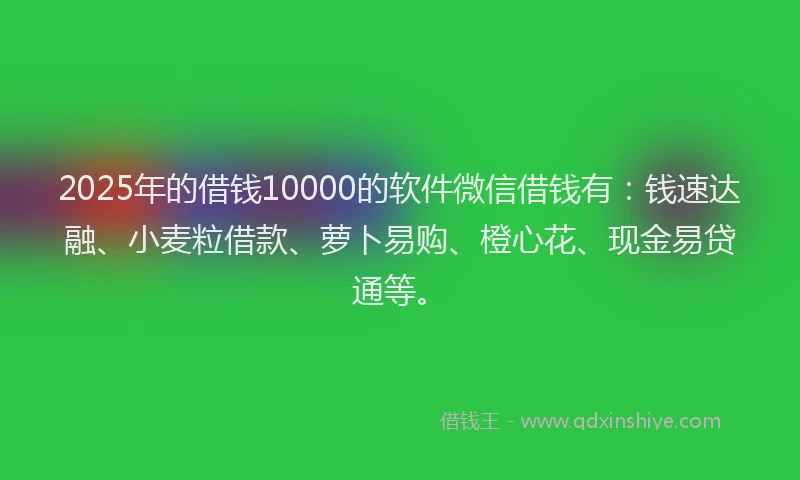 2025年的借钱10000的软件微信借钱有:钱速达融、小麦粒借款、萝卜易购、橙心花、现金易贷通等。