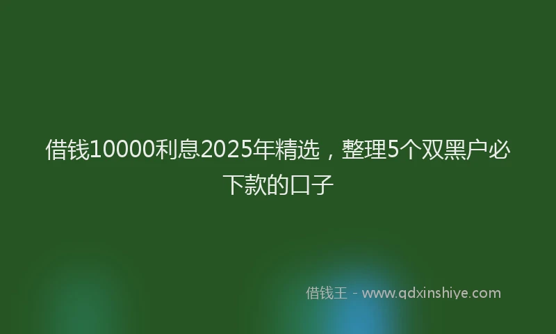 借钱10000利息2025年精选,整理5个双黑户必下款的口子