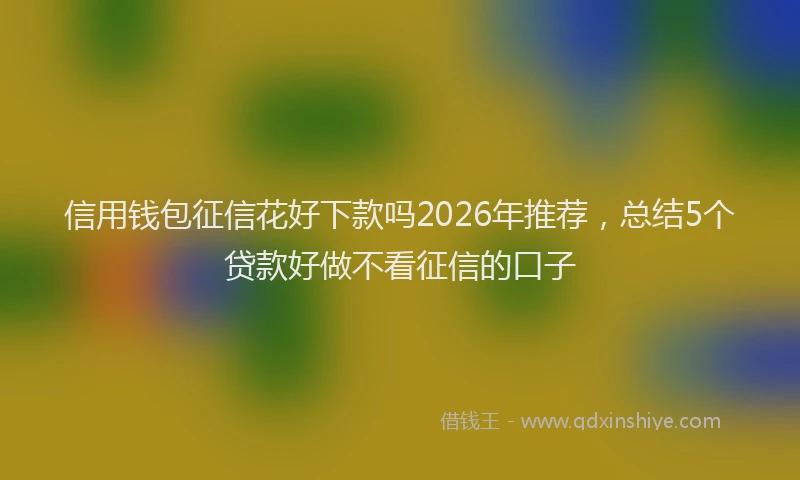 信用钱包征信花好下款吗2026年推荐，总结5个贷款好做不看征信的口子