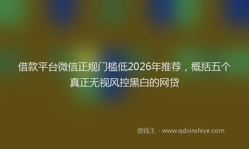 借款平台微信正规门槛低2026年推荐，概括五个真正无视风控黑白的网贷