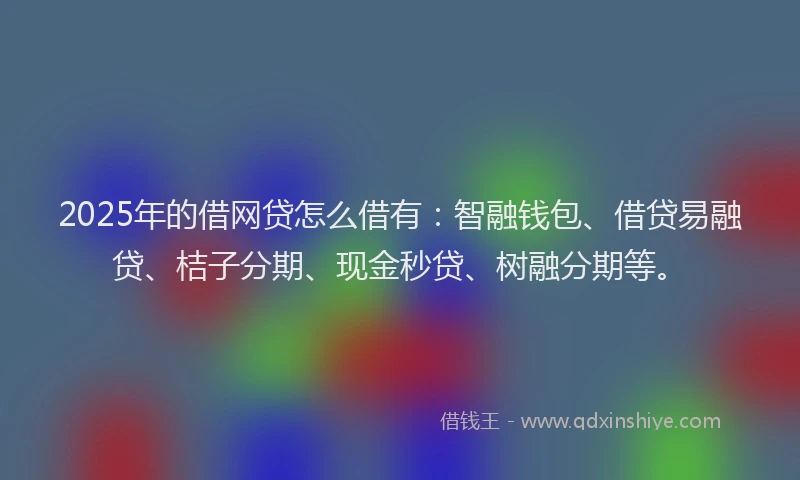 2025年的借网贷怎么借有：智融钱包、借贷易融贷、桔子分期、现金秒贷、树融分期等。