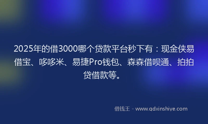 2025年的借3000哪个贷款平台秒下有:现金侠易借宝、哆哆米、易捷Pro钱包、森森借呗通、拍拍贷借款等。