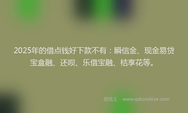 2025年的借点钱好下款不有:瞬信金、现金易贷宝盒融、还呗、乐借宝融、桔享花等。