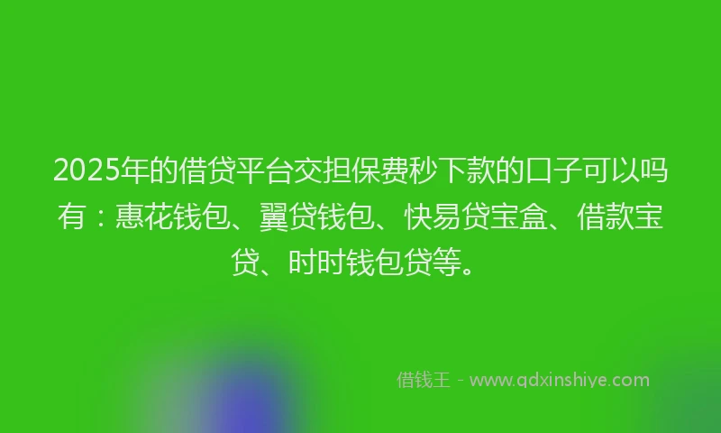 2025年的借贷平台交担保费秒下款的口子可以吗有:惠花钱包、翼贷钱包、快易贷宝盒、借款宝贷、时时钱包贷等。