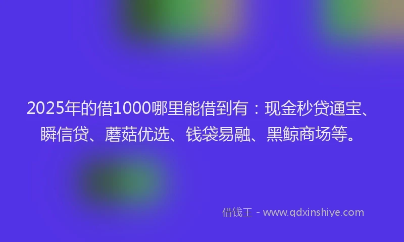 2025年的借1000哪里能借到有：现金秒贷通宝、瞬信贷、蘑菇优选、钱袋易融、黑鲸商场等。
