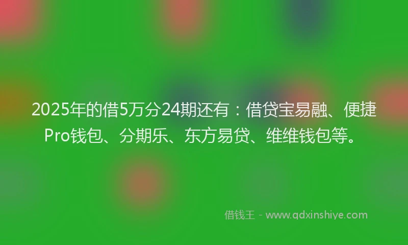 2025年的借5万分24期还有:借贷宝易融、便捷Pro钱包、分期乐、东方易贷、维维钱包等。