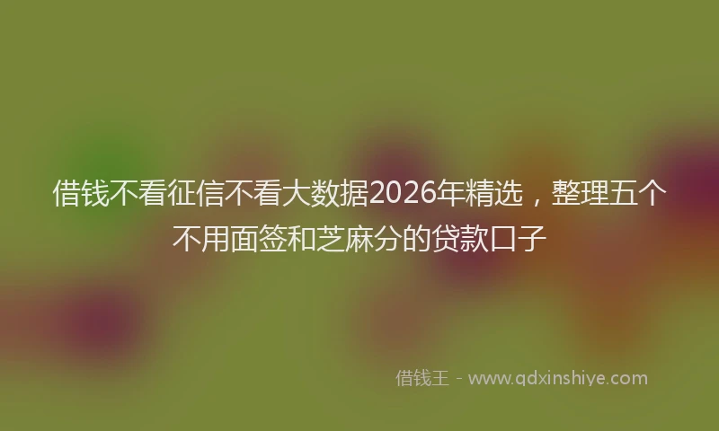 借钱不看征信不看大数据2026年精选，整理五个不用面签和芝麻分的贷款口子