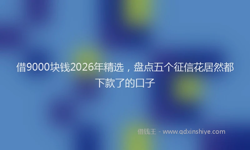 借9000块钱2026年精选，盘点五个征信花居然都下款了的口子