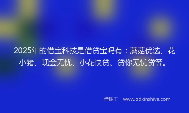 2025年的借宝科技是借贷宝吗有：蘑菇优选、花小猪、现金无忧、小花快贷、贷你无忧贷等。