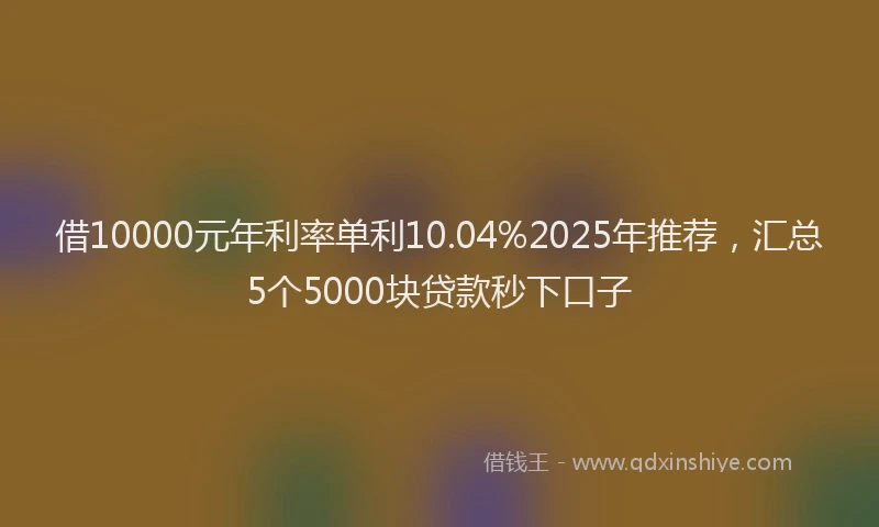 借10000元年利率单利10.04%2025年推荐，汇总5个5000块贷款秒下口子