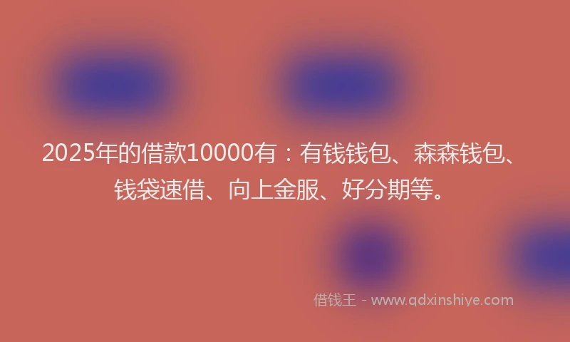 2025年的借款10000有：有钱钱包、森森钱包、钱袋速借、向上金服、好分期等。