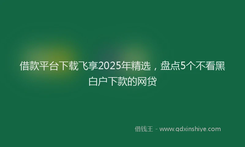 借款平台下载飞享2025年精选,盘点5个不看黑白户下款的网贷