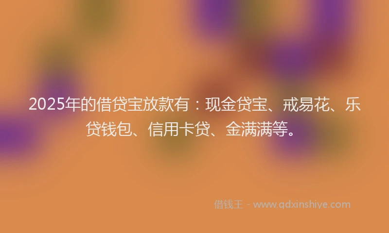 2025年的借贷宝放款有：现金贷宝、戒易花、乐贷钱包、信用卡贷、金满满等。
