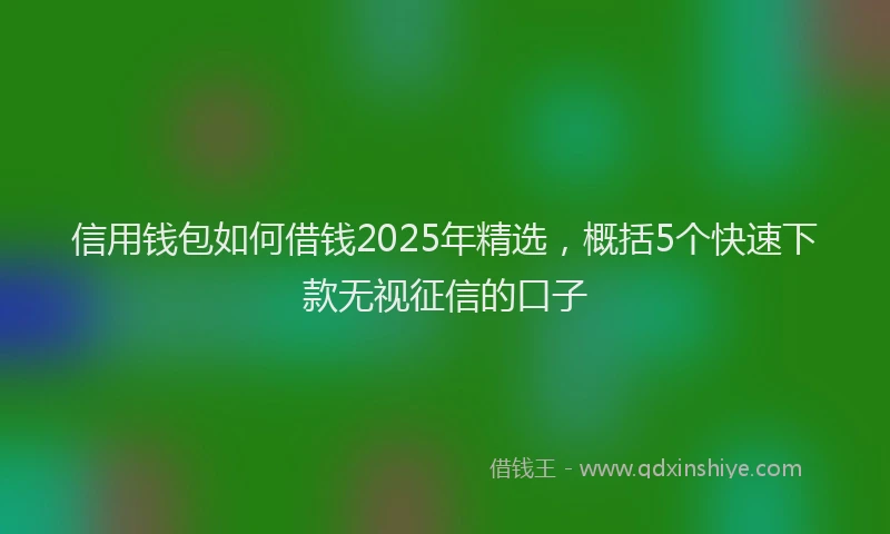 信用钱包如何借钱2025年精选，概括5个快速下款无视征信的口子