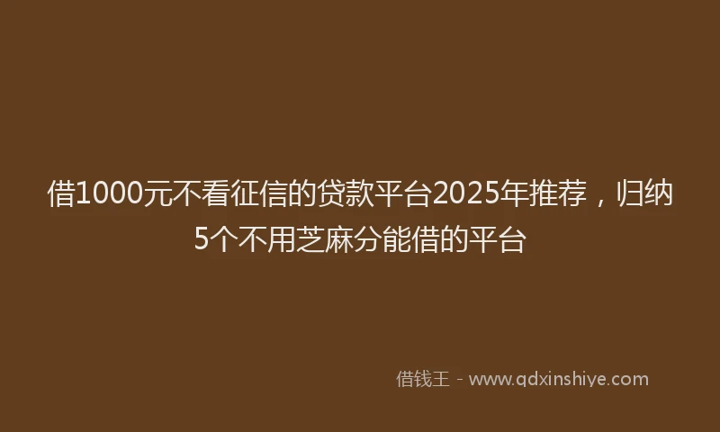 借1000元不看征信的贷款平台2025年推荐，归纳5个不用芝麻分能借的平台