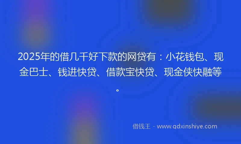 2025年的借几千好下款的网贷有：小花钱包、现金巴士、钱进快贷、借款宝快贷、现金侠快融等。