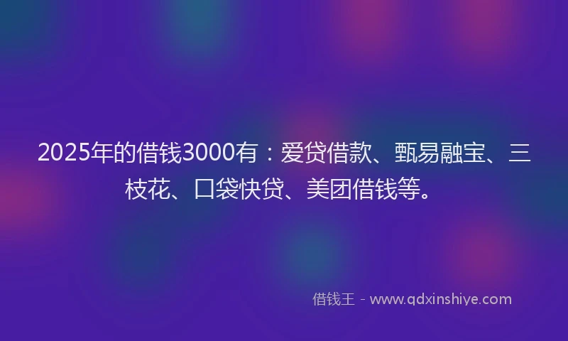 2025年的借钱3000有：爱贷借款、甄易融宝、三枝花、口袋快贷、美团借钱等。