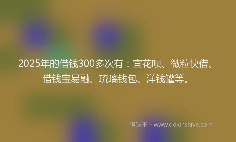 2025年的借钱300多次有：宜花呗、微粒快借、借钱宝易融、琉璃钱包、洋钱罐等。