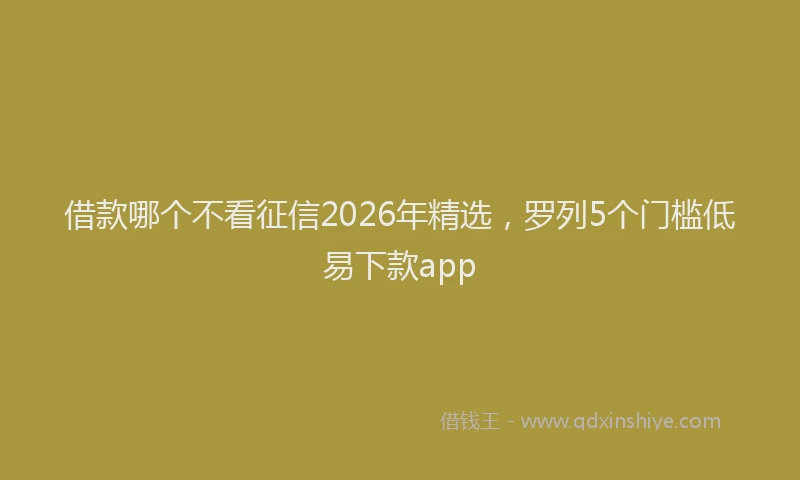 借款哪个不看征信2026年精选，罗列5个门槛低易下款app
