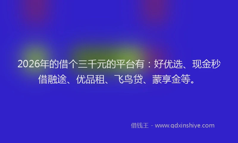 2026年的借个三千元的平台有：好优选、现金秒借融途、优品租、飞鸟贷、蒙享金等。