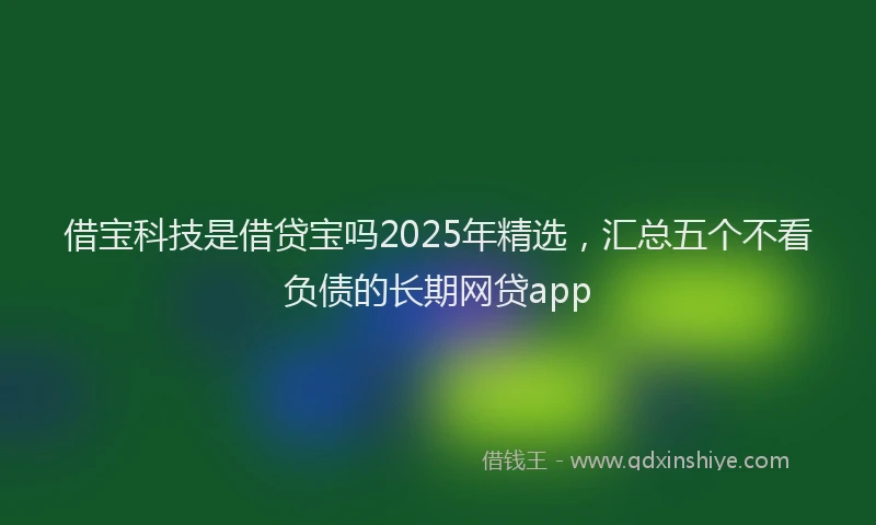 借宝科技是借贷宝吗2025年精选,汇总五个不看负债的长期网贷app