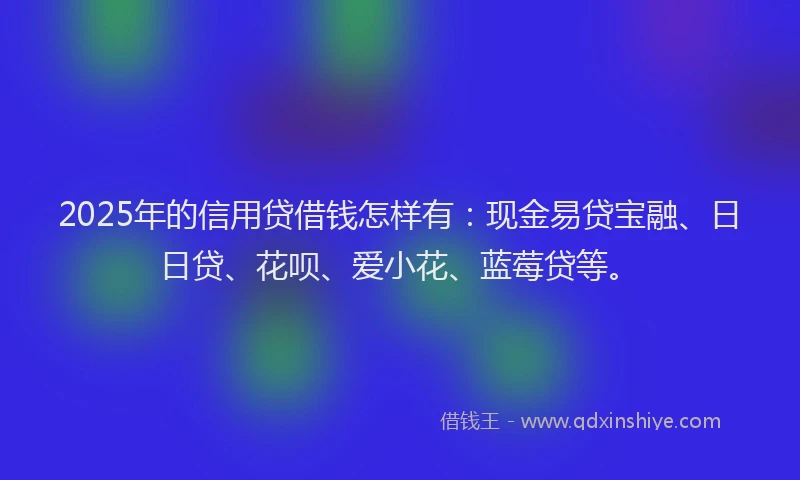 2025年的信用贷借钱怎样有：现金易贷宝融、日日贷、花呗、爱小花、蓝莓贷等。