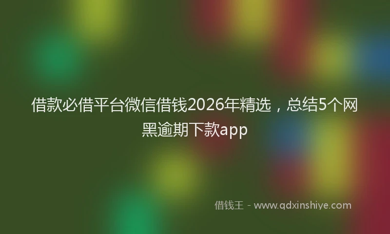 借款必借平台微信借钱2026年精选，总结5个网黑逾期下款app