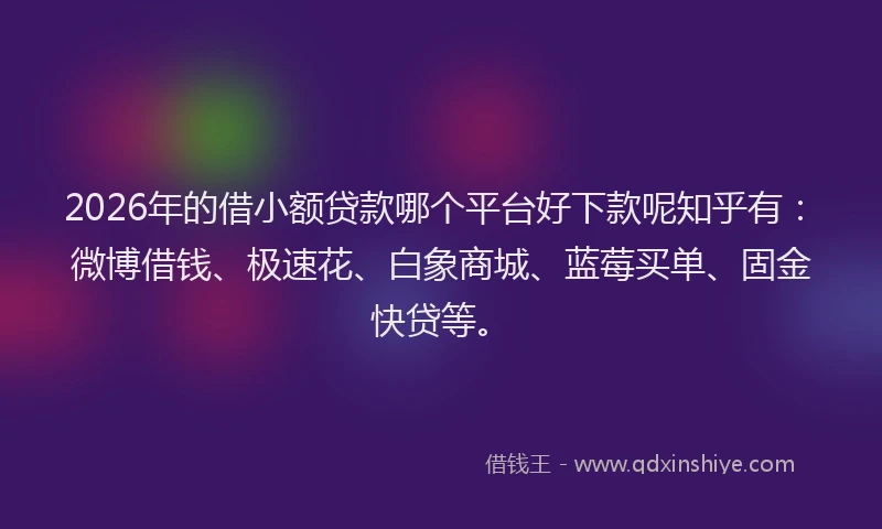2026年的借小额贷款哪个平台好下款呢知乎有：微博借钱、极速花、白象商城、蓝莓买单、固金快贷等。