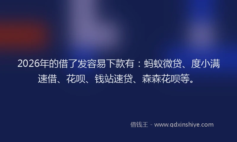 2026年的借了发容易下款有：蚂蚁微贷、度小满速借、花呗、钱站速贷、森森花呗等。