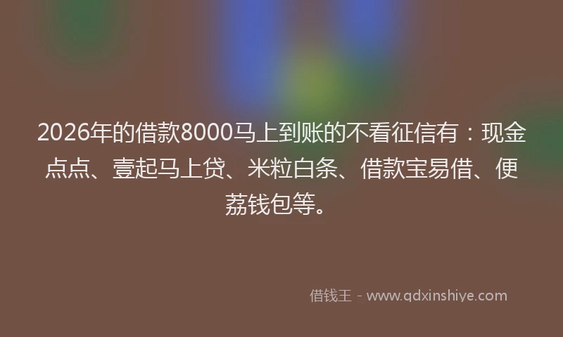 2026年的借款8000马上到账的不看征信有：现金点点、壹起马上贷、米粒白条、借款宝易借、便荔钱包等。