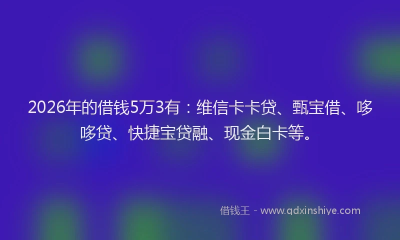 2026年的借钱5万3有:维信卡卡贷、甄宝借、哆哆贷、快捷宝贷融、现金白卡等。