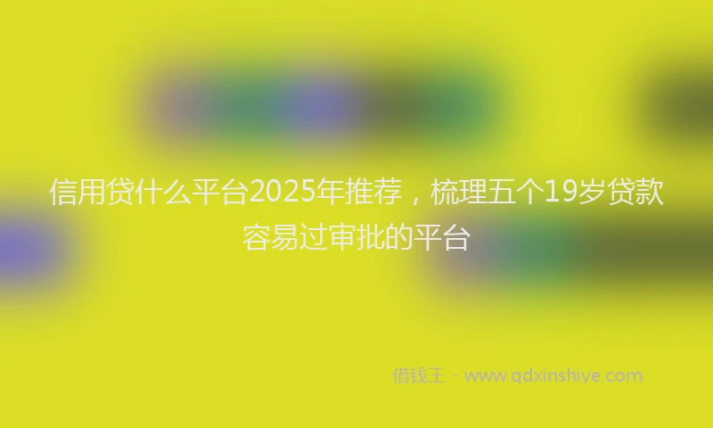 信用贷什么平台2025年推荐，梳理五个19岁贷款容易过审批的平台