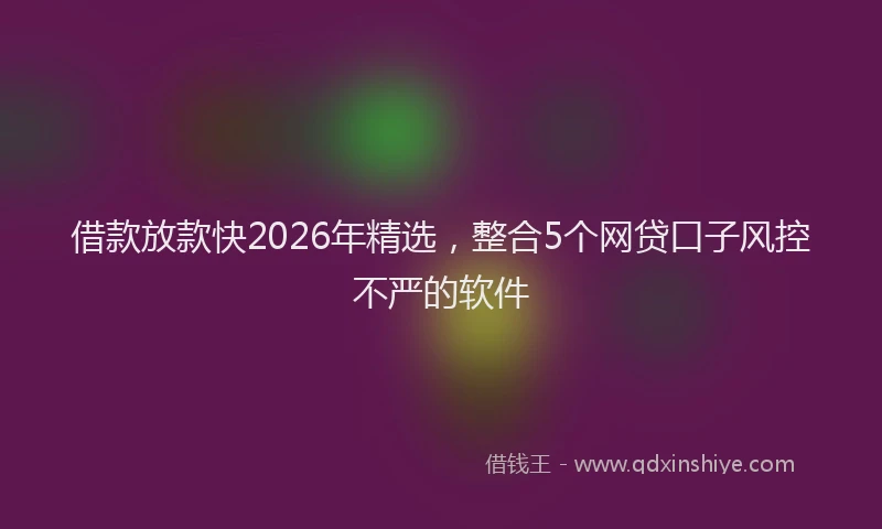 借款放款快2026年精选，整合5个网贷口子风控不严的软件