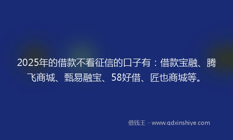 2025年的借款不看征信的口子有：借款宝融、腾飞商城、甄易融宝、58好借、匠也商城等。