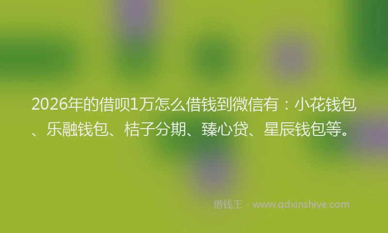 2026年的借呗1万怎么借钱到微信有：小花钱包、乐融钱包、桔子分期、臻心贷、星辰钱包等。