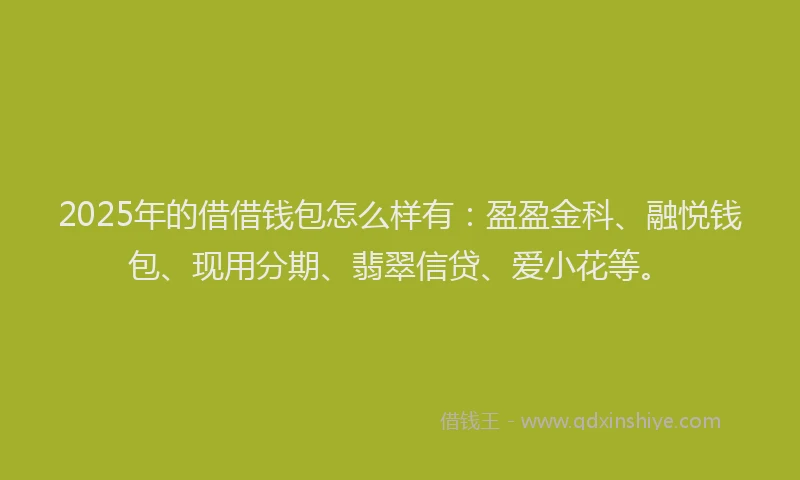 2025年的借借钱包怎么样有:盈盈金科、融悦钱包、现用分期、翡翠信贷、爱小花等。