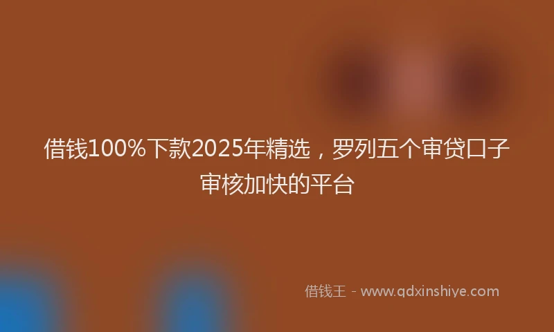 借钱100%下款2025年精选，罗列五个审贷口子审核加快的平台