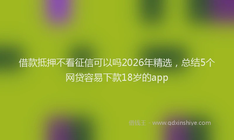 借款抵押不看征信可以吗2026年精选，总结5个网贷容易下款18岁的app