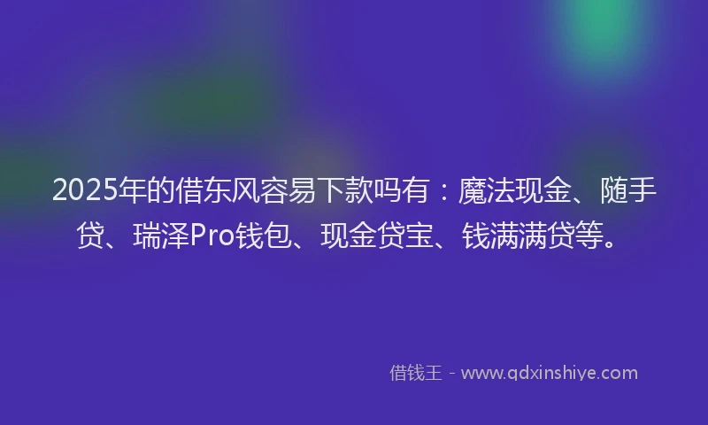 2025年的借东风容易下款吗有：魔法现金、随手贷、瑞泽Pro钱包、现金贷宝、钱满满贷等。