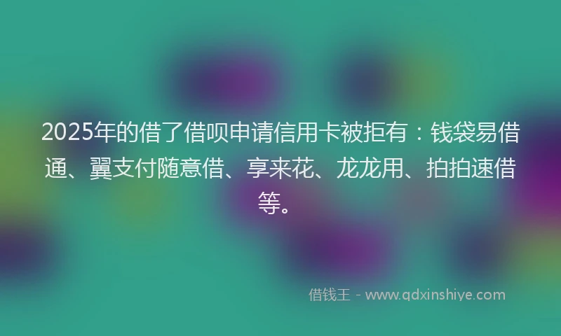 2025年的借了借呗申请信用卡被拒有:钱袋易借通、翼支付随意借、享来花、龙龙用、拍拍速借等。