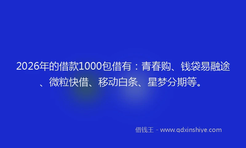 2026年的借款1000包借有:青春购、钱袋易融途、微粒快借、移动白条、星梦分期等。