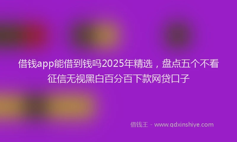 借钱app能借到钱吗2025年精选，盘点五个不看征信无视黑白百分百下款网贷口子