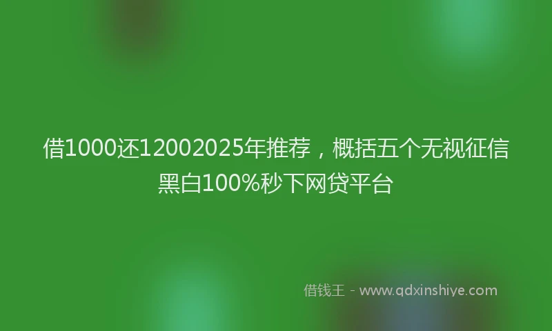 借1000还12002025年推荐,概括五个无视征信黑白100%秒下网贷平台