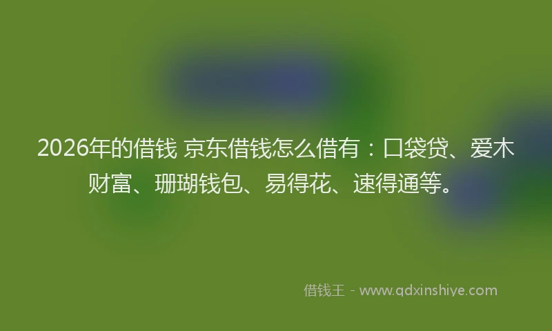 2026年的借钱 京东借钱怎么借有：口袋贷、爱木财富、珊瑚钱包、易得花、速得通等。